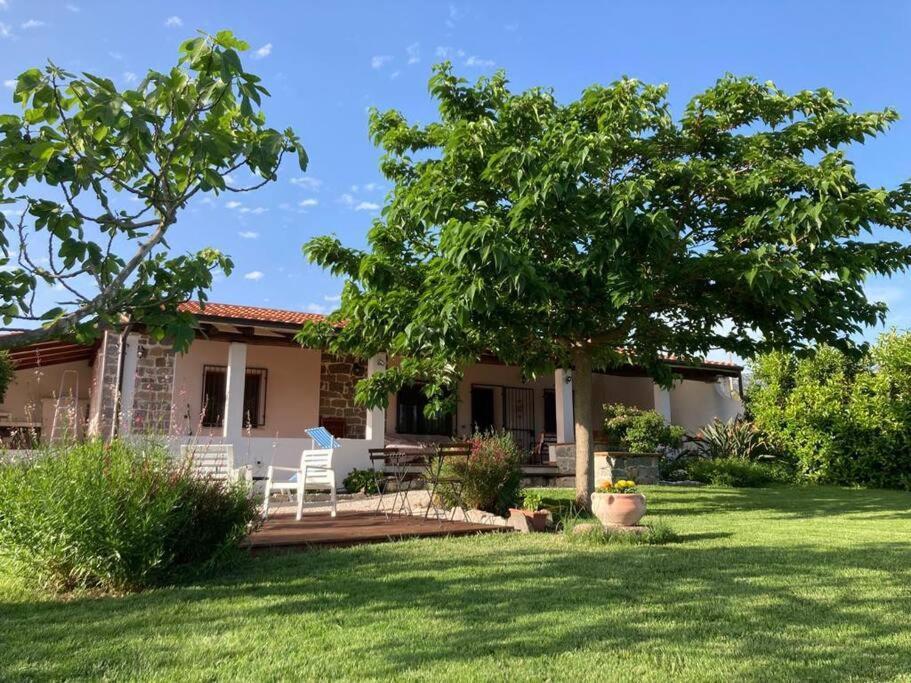 Countryside Villa In Sardinia Triei Экстерьер фото