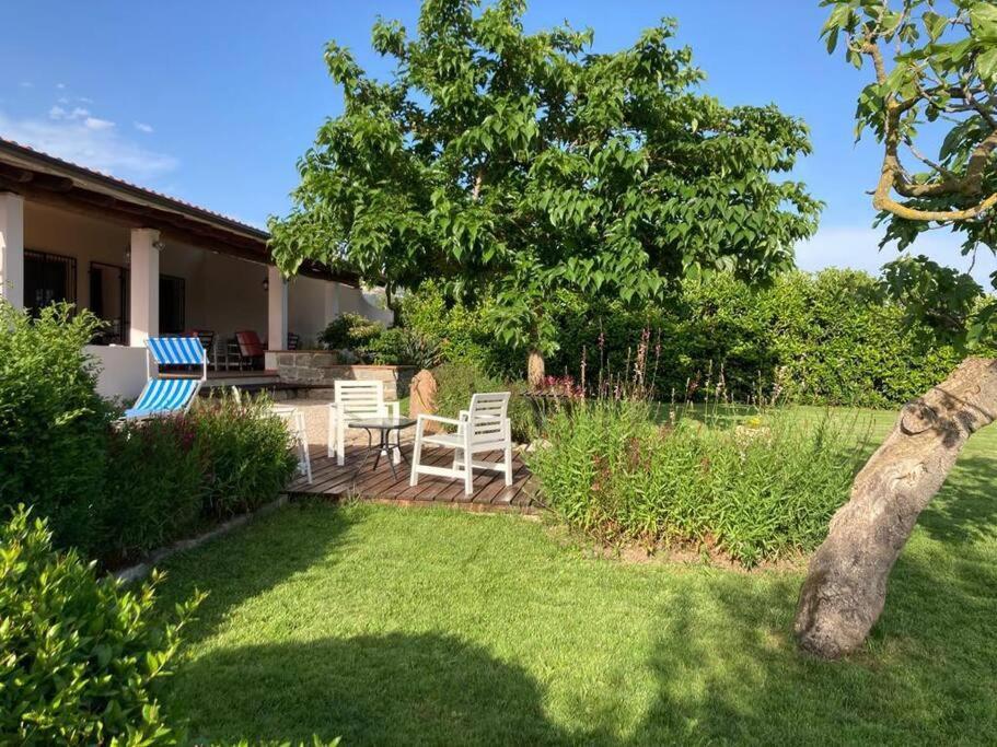 Countryside Villa In Sardinia Triei Экстерьер фото